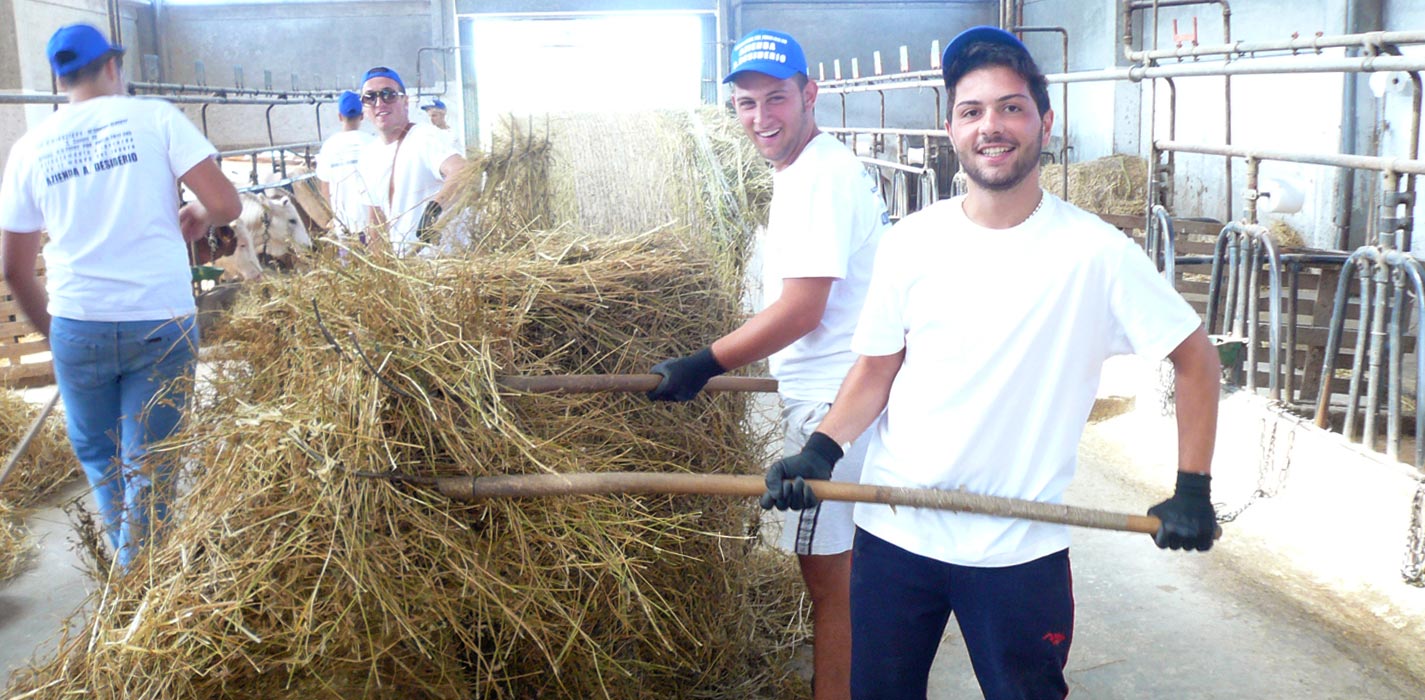 Sostegno All Agricoltura Nel Cuore Del Paese Nel Cuore Del Paese